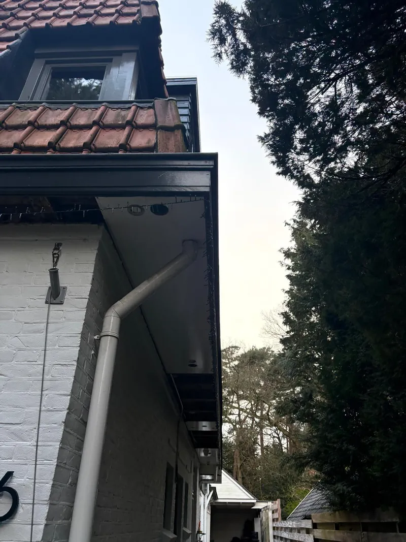 Overstek vernieuwd en geschilderd - Detail 4